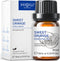 HIQILI Sweet Orange Essential Oil,100% Pure Natural for Diffuser, Aromatherapy-10ml...