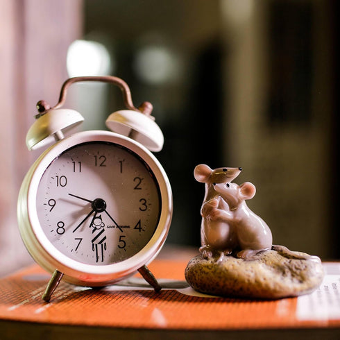 Adorable Sitting Parent-Child Mouse Statue, Hand-Made & Painted Miniature Rodent Figurine, Collectible Mice Rat Animals for Your Home, Bookshelf, ...