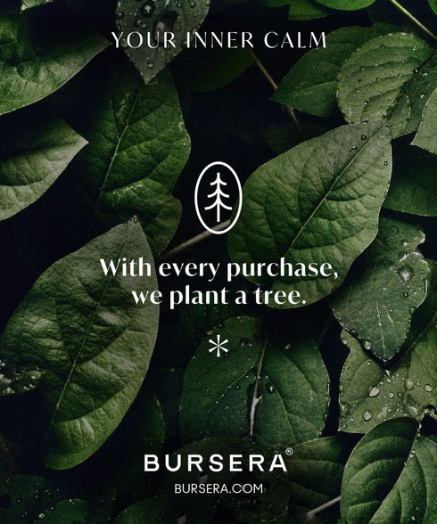 Bursera Eucalyptus Essential Oil, Tree Planted with Every Order, 100% Pure Eucalyptus Oil, 10ml Undiluted High Grade Natural Eucalyptus Oils for D...