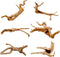Hamiledyi 6 PCS Aquarium Driftwood Natural Spider Wood Branches Reptiles Aquarium Fish Tank Decoration Assorted(6 inch-8 inch)...