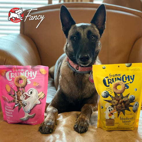 Fromm Crunchy Os Slammon' Smoked Salmon Dog Treats - Premium Crunchy Dog Treats - Salmon Recipe - 6 oz...