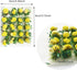 Cayway 2 Color Flower Vegetation Groups Flower Cluster Model Grass Tufts Set Miniature Static Scenery Model for DIY Architecture Building Garden S...
