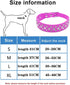 Bling Rhinestone PU Leather Crystal Diamond Pet Dog Cat Puppy Collar Black S M L XL (M, Light Blue)...