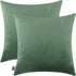 mixeoo Comfy Sage Green Throw Pillow Covers Decorative Square Solid Thick Velvet Super Soft Couch Cushion Cases for Bedroom Sofa Decor, Set of 2, ...