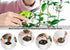 5Pcs Succulent Tools Mini Garden Small Gardening Tools Indoor, Pruning Shear Gardening Scissors, Hand Tool kit for Bonsai, Cactus, Fairy, Housepla...