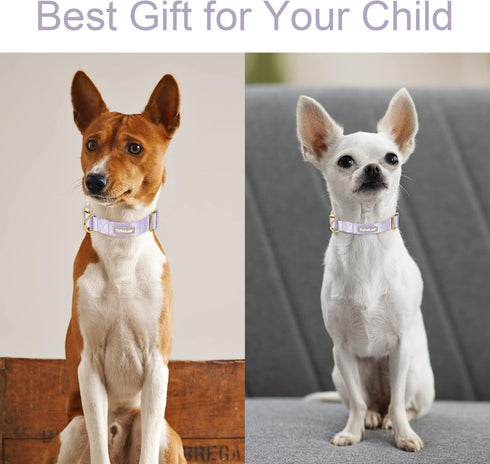 Babole Nylon Dog Collars Lavender for Small Puppy Dog,13 Colors,Adjustable Soft Comfortable Pet Collars with Safety Metal Buckle for Medium Large ...