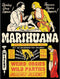Wee Blue Coo Political Drug Abuse Marijuana Weed Weird Art Print Poster Wall Decor 12X16 Inch...
