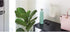 iDesign Wall Mount Wipe Holder, Cleaning Supplies, 6.54" x 4.15" x 4" ,Coconut...