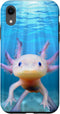 iPhone XR Axolotl Mexican Walking Fish Cute Amphibian Axolotl Case...