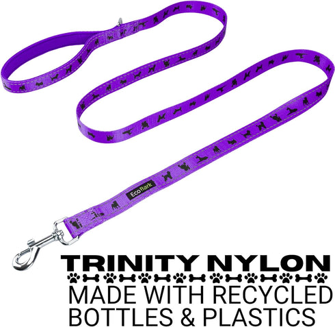 EcoBark Dog Leash - 4 FT / 5 FT / 6 FT Reflective Dog Leash- Eco-Bright Dog Leashes with Padded Handle - Strong Heavy Duty Dog Leash - Nylon Dog L...