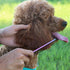 ROPO Dog Comb for Removing Matted Fur - Pet Dematting Comb with Rounded Teeth and Non-Slip Grip Handle - Prevents Knots and Mats for Long and Shor...