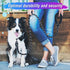 2 Pack Dog Leash 5 FT Thick Durable Nylon Rope - Comfortable Padded Handle Reflective Rope Dog Leash for Medium Large Dogs with Collapsible Pet Bo...