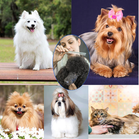Dog Comb, Metal Dog Grooming Combs with Rounded Ends Stainless Steel Teeth for Grooming Matting Cats Dogs Comb Brush Tool for Long Haired Pets Gen...