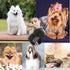 Dog Comb, Metal Dog Grooming Combs with Rounded Ends Stainless Steel Teeth for Grooming Matting Cats Dogs Comb Brush Tool for Long Haired Pets Gen...