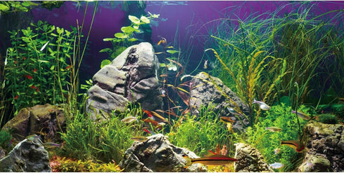 AWERT 36x18 inches Aquarium Background Seagrass Aquarium Background Stone River Bed & Lake Fish Tank Background Vinyl Background...
