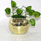 Disco Ball Planter Gold,Disco Ball Vase,Disco Ball Plant Pot,Disco Ball Flower Pot,Mosaic Glass Mirror Ball Planter,Disco Decor Candle Holder Vase...