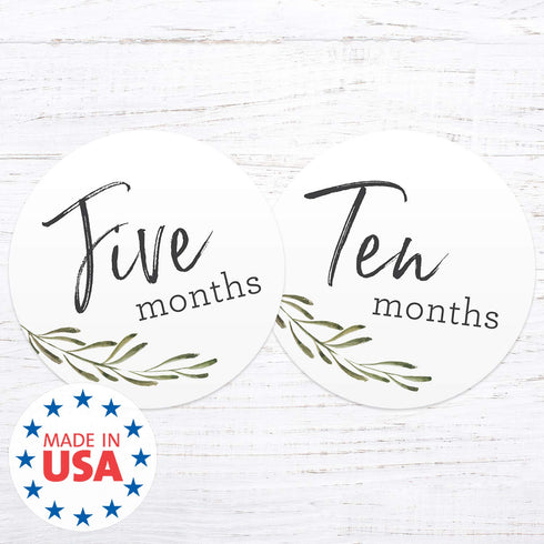 Baby Milestone Signs/Greenery Monthly Milestones/Botanical Infant Photo Prop...