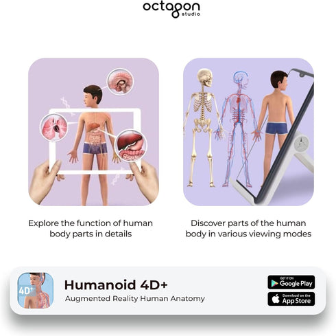 Humanoid 4D+ Augmented Reality Human Anatomy Model - Interactive Educational STEM Tool with Free App, Audio Narration, Multilingual Support - Expl...