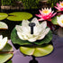 Solar Fountain Pump, Floating Water Lily Bird Bath Fountain with 6 Nozzles for Garden Patio Outdoor Pool Hummingbird Bath and Fish Pond Decor...
