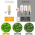 Dimmable Salt Lamp Bulbs E12 LED Night Light Bulbs 40 Watt Equivalent 4W,Small Filament Bulb for Candelabra,Sewing Machine,Ceiling Fan,Refrigerato...