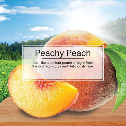 LITTLE TREES Air Fresheners Car Air Freshener. Hanging Tree Provides Long Lasting Scent for Auto or Home. Peachy Peach, 24 Air Fresheners...