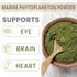 AKI Marine Phytoplankton Powder | Source of Raw Omega-3 EPA Micro Algae Nannochloropsis - Plant Based Proteins, Vitamins for Overall Wellness | Co...