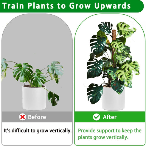 Moss Pole -2 Pack 17 Inch Monstera Plant Support for Climbing Plants Accessories Indoor -Stackable Moss Poles Plant Support Stakes -Coir Plant Pol...