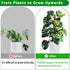 Moss Pole -2 Pack 17 Inch Monstera Plant Support for Climbing Plants Accessories Indoor -Stackable Moss Poles Plant Support Stakes -Coir Plant Pol...