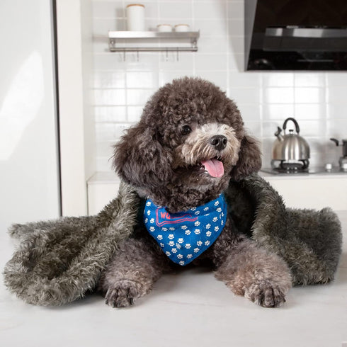 MACEVIA Fluffy Fleece Dog Blankets, Warm Soft Fuzzy Pets Blankets for Puppy, Small, Medium, Large Dogs and Cats, Plush Pet Throws for Bed, Couch, ...
