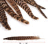 20pcs Natural Pheasant Tails Feather for Hair Hats Crafts Home Wedding Party Decoration (30-35cm)...