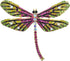 Gyn&Joy Golden Tone Colorful Crystal Rhinestone Dragonfly Flying Insect Brooch Pin For Women BZ198...
