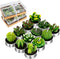 Outee 12 Pcs Cactus Tealight Candles Handmade Delicate Succulent Candle Cactus Candles Smokeless Aromatherapy Mini Candles Tea Lights 12 Styles fo...