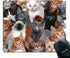 Smooffly Gaming Mouse Pad Custom Design,Cats Galore Mouse Pad White Black Brown Cat Personality Desings Gaming Mouse Pad...