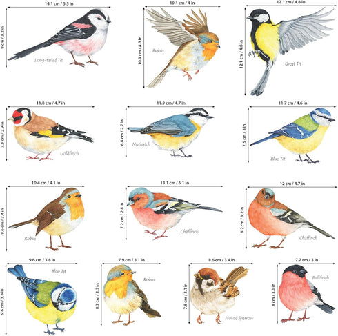 DECOWALL DS2-8038 Little Birds Kids Wall Stickers Wall Decals Peel and Stick Removable Wall Stickers for Kids Nursery Bedroom Living Room (Small) ...