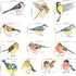 DECOWALL DS2-8038 Little Birds Kids Wall Stickers Wall Decals Peel and Stick Removable Wall Stickers for Kids Nursery Bedroom Living Room (Small) ...