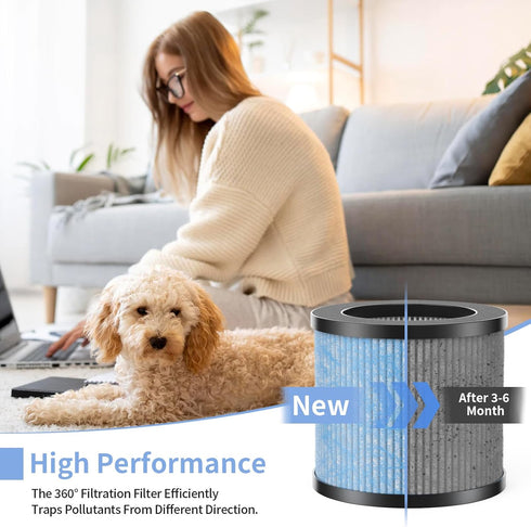 TPAP002 True HEPA Replacement Filter, Compatible with TOPPIN TPAP002 HEPA Purifier Comfy Air C1, Part# TPFF002, 4-IN-1 Filters?2-Pack?...