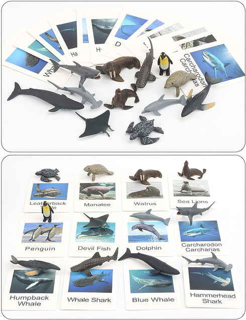 Small Montessori Animal Figures with Flash Cards, Realistic Animal Figurines Toys, Montessori Materials Homeschool Preschool Science Educational M...