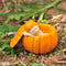 Top Collection Miniature Fairy Garden and Terrarium Sleeping Fairy Baby in Orange Pumpkin Statue...