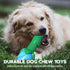 Rose Pet Fetching Dog Toys for Chew Throwing Bumpy Dog Pool Toys, Floats on Water - Interactive Dogs Chew for Training & Cleaning Teeth Aggressive...