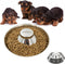 Puppy Dog Bowl, Stainless Steel Multiple Puppies Feeder, Dogs Basic Food and Water Bowls Weaning Dish for Small, Medium and Large Dogs Pets...