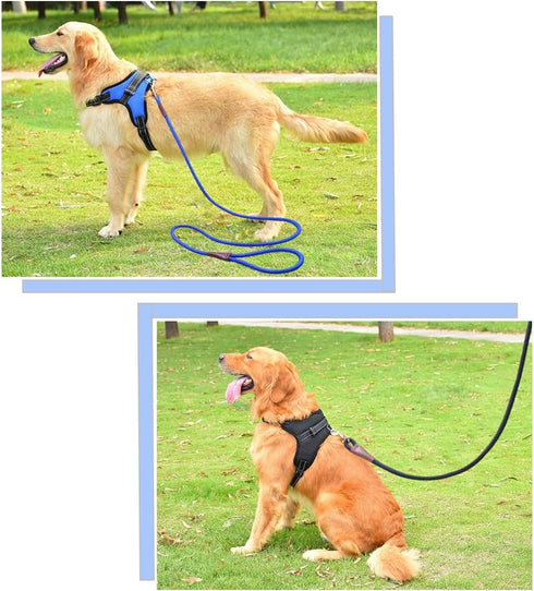 6FT/8FT/10FT Rope Dog Leash, 1/2” Strong Nylon Dog Leash with Leather Tailor Connection, Great for Medium and Large Dogs (1/2" x 6ft, purple)...