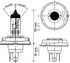 HELLA H4 P45TTB Standard Halogen Bulbs, 12 V, 60/55W...