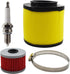 17254-HN5-670 Air Filter Oil Filter Spark Plug Replacement for Honda Rancher 350 TRX350 Honda Foreman 400 450 TRX400 TRX450...