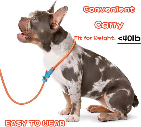 No Pull Dog Leash Slip Lead Dog Leash Dog Leash for Small Medium Large Dogs 6Ft 8 Colors Classic Dog Leash Dog Rope (Orange)...
