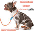No Pull Dog Leash Slip Lead Dog Leash Dog Leash for Small Medium Large Dogs 6Ft 8 Colors Classic Dog Leash Dog Rope (Orange)...