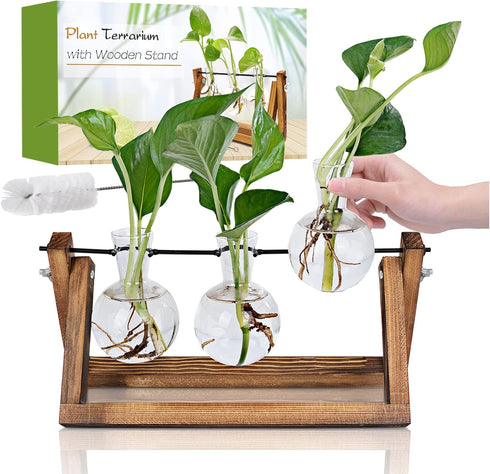 Plant Propagation Station, Plant Terrarium with Wooden Stand, Unique Gardening Birthday Gifts for Women Plant Lovers, Home Office Garden Decor Pla...