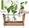 Plant Propagation Station, Plant Terrarium with Wooden Stand, Unique Gardening Birthday Gifts for Women Plant Lovers, Home Office Garden Decor Pla...