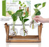 Plant Propagation Station, Plant Terrarium with Wooden Stand, Unique Gardening Birthday Gifts for Women Plant Lovers, Home Office Garden Decor Pla...