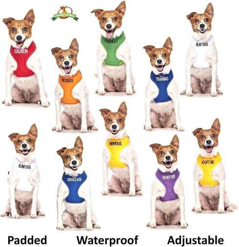 FRIENDLY Green Color Coded 2 4 6 Foot Padded Dog Leash (Known As Friendly) PREVENTS Accidents By Warning Others of Your Dog in Advance (Standard L...