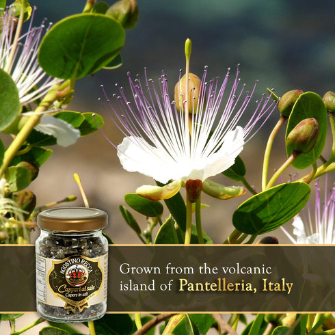 Agostino Recca Capers in Sea Salt - Pickled Capers Best for Sauces, Meats, & Garnishes (2.2 oz)...